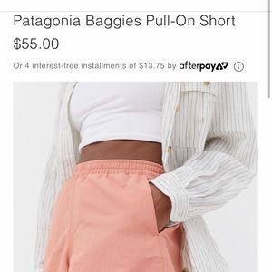 ISO urban outfitters/Patagonia baggies short